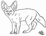 Canis Lineart Fennec Simensis sketch template