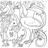 Coloring Animals Pages Rainforest Australian Australia Printable Forest Kids Amazon Colouring Animal Jungle Colour Keys Birds Clip Activity Getdrawings Library sketch template
