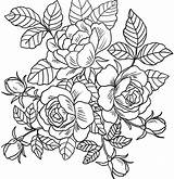 Blossom Getdrawings sketch template