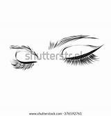 Eyebrows Eyelashes Shutterstock sketch template