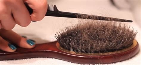 clean  hair brushes clean  space