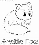 Cub Fox Animals Coloring sketch template