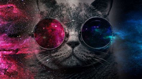 galaxy cat wallpaper  images