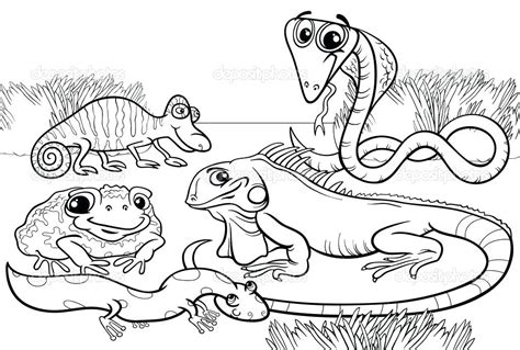 amphibian coloring pages  getdrawings