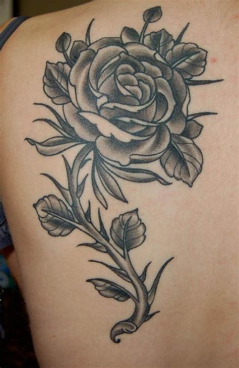 black rose tattoo designs ideas  images popular