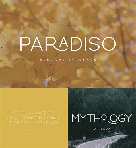 paradiso font free download