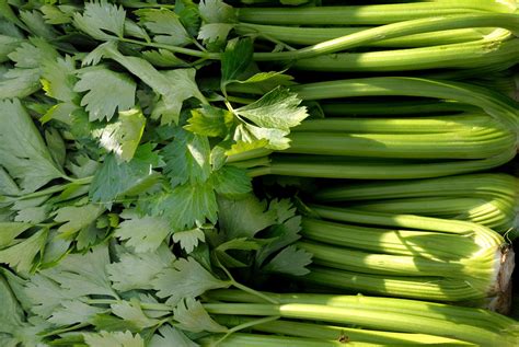 real food encyclopedia celery foodprint