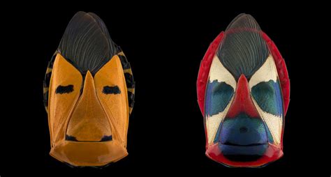 pacal goet highlights masks hidden  bug shells