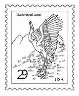 Coloring Stamp Pages Stamps Postage Nature Postal Necked Crane Sheets Usps Birds Usage Authorized Service sketch template