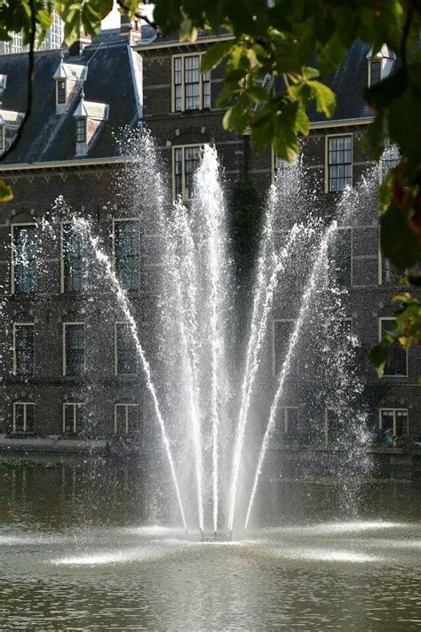 de hofvijver den haag  hague delft fountains hometown netherlands amsterdam dutch