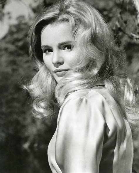 Unknown Tuesday Weld Original Vintage Photograph Photograph For