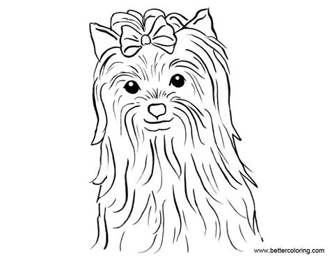 yorkie puppy coloring pages  printable coloring pages