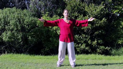 Tai Chi 5 Minutes A Day Module 04 Easy For Beginners Fit