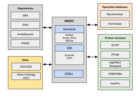 bioinformatics   bits sequence gene  protein databases