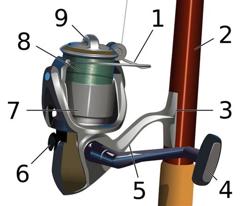 types  fishing reels explained reels   buyers guide anchor fly