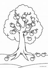 Tree Coloring Pages Printable Apple Kindergarten Kids Worksheet Sheets Worksheets Drawing Cool2bkids Template sketch template