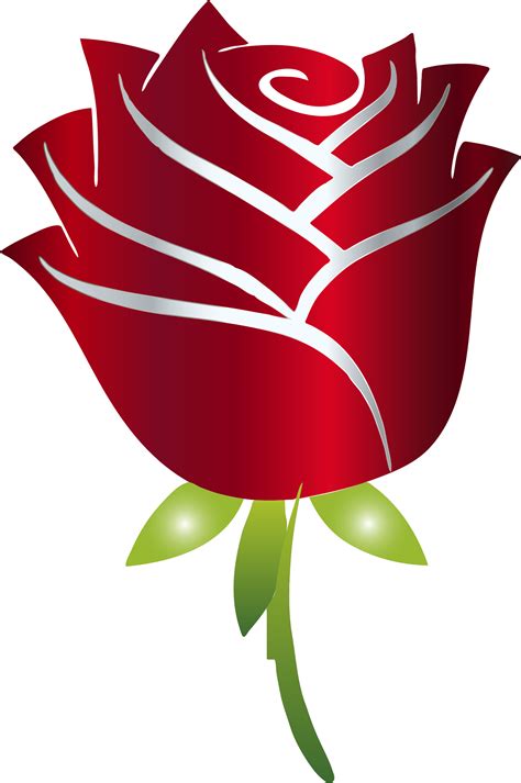 rose flower vector png
