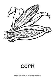 corn colouring page colouring pages coloring pages thanksgiving