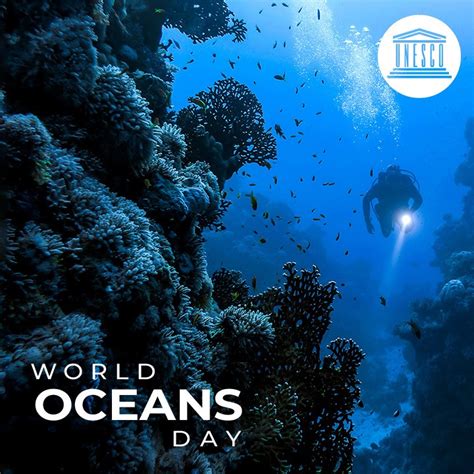 digital teacher schools world oceans day valueoftheoceans