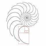 Fibonacci Espiral sketch template