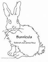 Bunnicula Novel Reading Unit Coloring Teaching Pages Book Guided Study Activities Teacher Student Plans Daily Template Visit Grade School sketch template