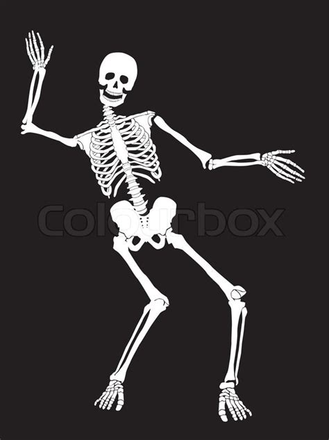 funny vector skeleton isolated over stock vector