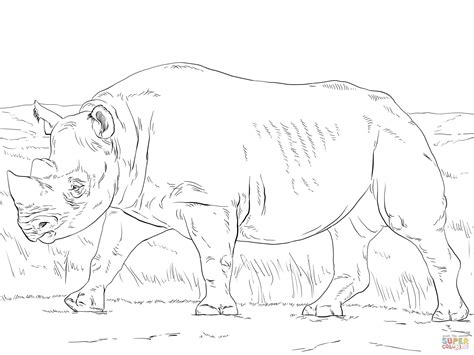 rhinos coloring pages coloring home