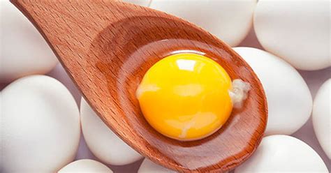 explanation   egg yolk cholesterol myth dr sam robbins