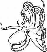 Coloring Octopus Pages Squid Color Printable Colouring Kids Drawing Mandala Outline Realistic Print Clipart Ocean Sheets Animal Sheet Oswald Rabbit sketch template