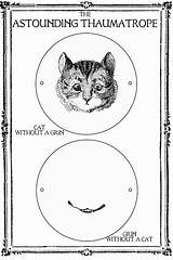 Thaumatrope Thaumatropes Cat Pdf Illusions Cheshire Stick Grin Optical Victorian Available Plans Illusion Paper 2010 Result sketch template