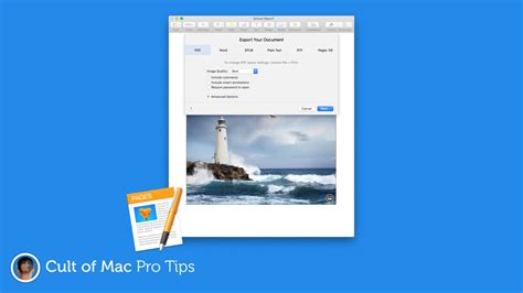 save pages documents     prevent unwanted edits pro tip