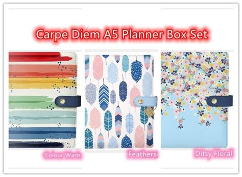 carpe diem  undated  month planner box color wash feathers