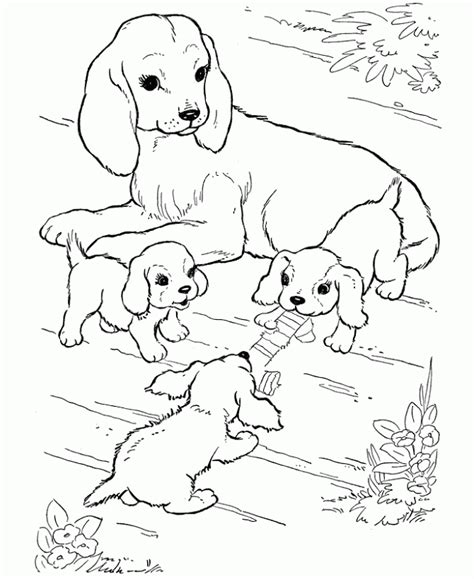 puppies  kittens coloring pages coloring home