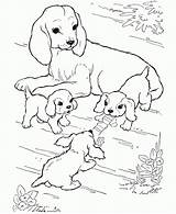 Coloring Pages Puppies Kittens Popular sketch template