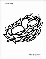 Nest Bird Birds Coloring Pages Kids Color Drawing Eggs Preschool Nests Book Printable Getdrawings Unit sketch template