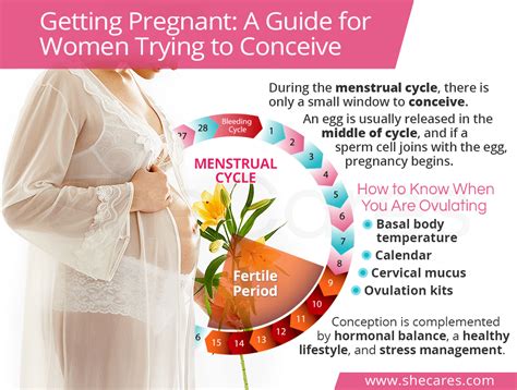 getting pregnant a guide for women trying to conceive