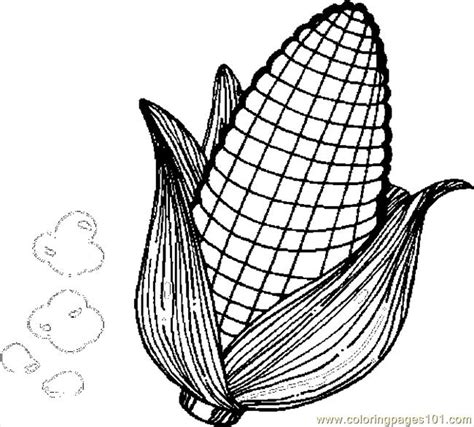 corn    coloring pages