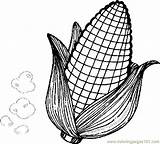 Corn Coloring Pages Thanksgiving Cob Printable Drawing Ear Holidays Color Getdrawings Print Field Getcolorings Pw Comments sketch template