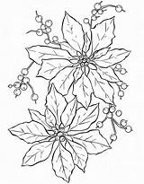 Coloring Christmas Flower Pages Poinsettia Sheets sketch template