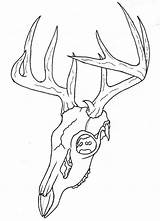 Skulls Elk sketch template