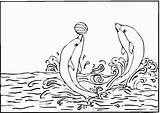 Dolphin Coloring Pages Printable Kids sketch template