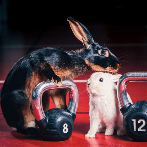 The Easter Gym Bunny Workout