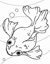 Goldfish Coloring Pages Printable Kids sketch template