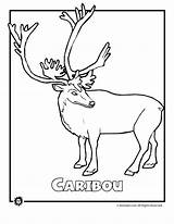 Coloring Caribou Endangered Pages Animals North America Animal Kids Jr Activities Rainforest Comments Printables Print Popular Coloringhome sketch template