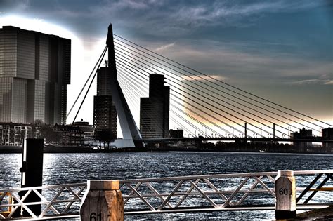 rotterdam bridge hdr  photo  pixabay