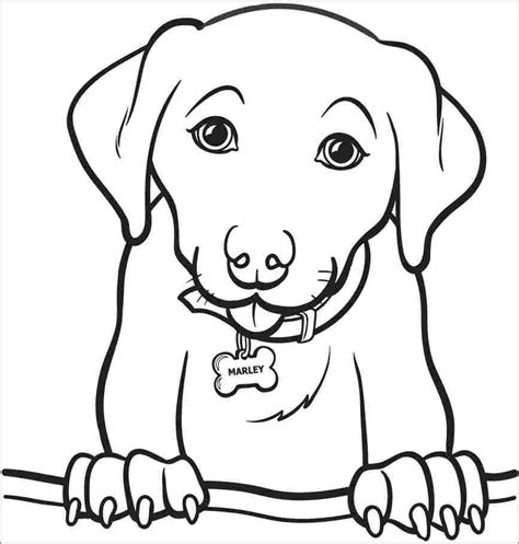 black lab puppy coloring pages black  white  drawings  dogs