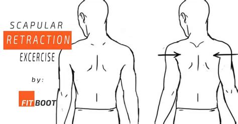 scapular retraction exercise   shoulder