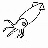 Squid Calamar Calamaro Tintenfisch Dibujo Clip Stampare Tentacles Animales Webstockreview Seekpng Tentacle Ultracoloringpages sketch template