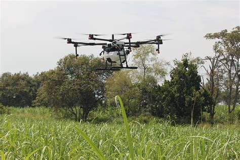 drone fumigation agriculture spray fine drop cultivation plant tree mode