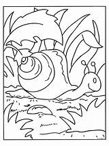 Slakken Bezoeken sketch template